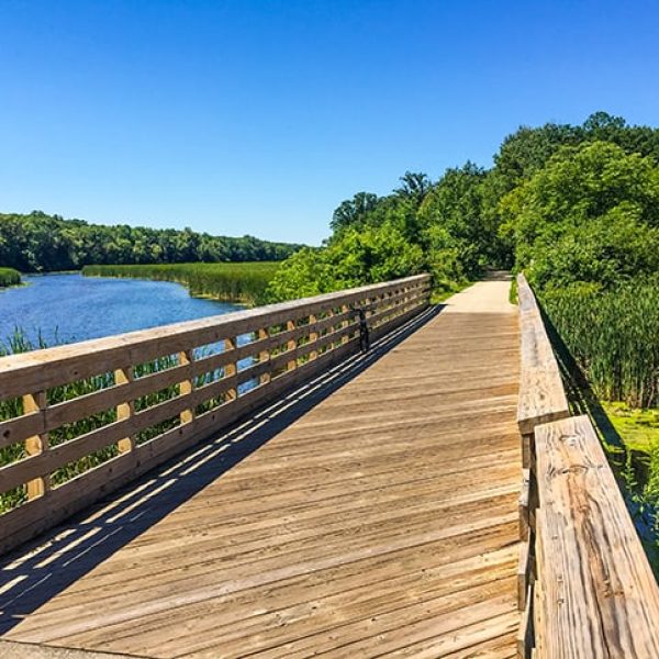 A wooden boardwalk crosses over water and marshland, surrounded by green trees and plants under a clear blue sky.